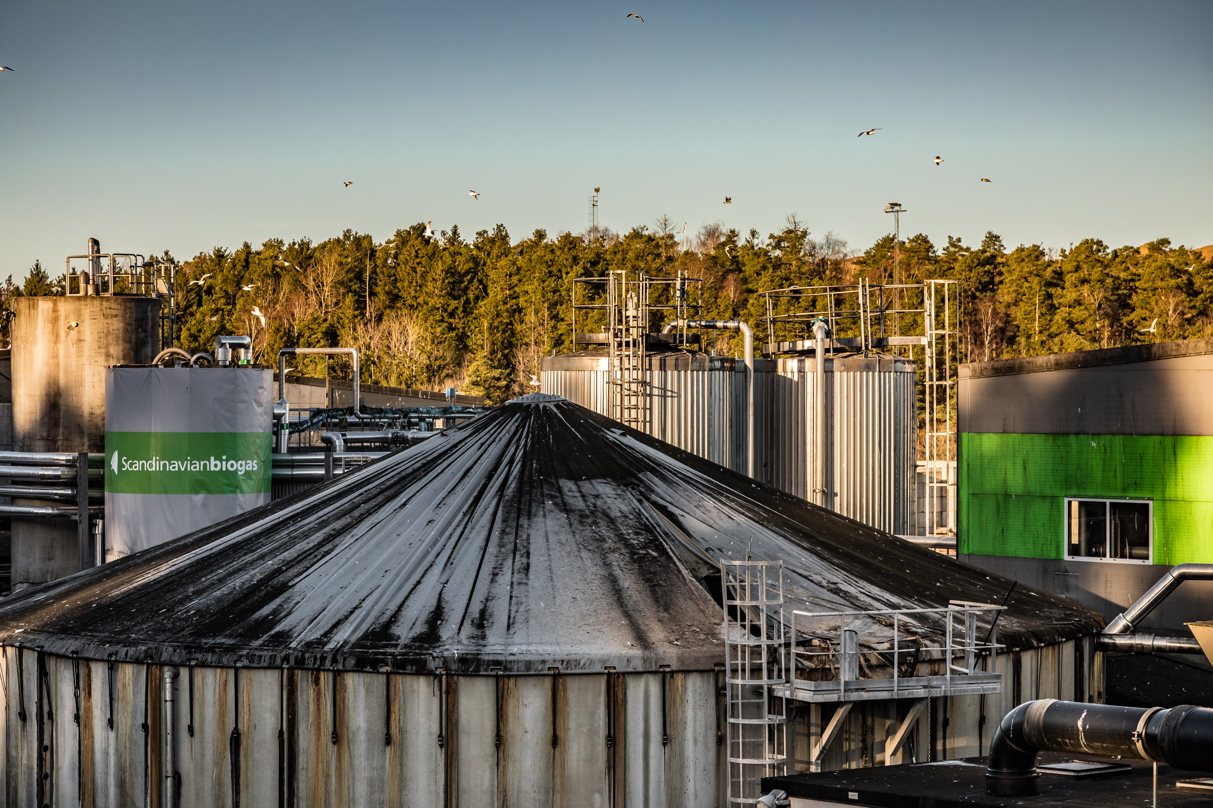 241 BIOGAS