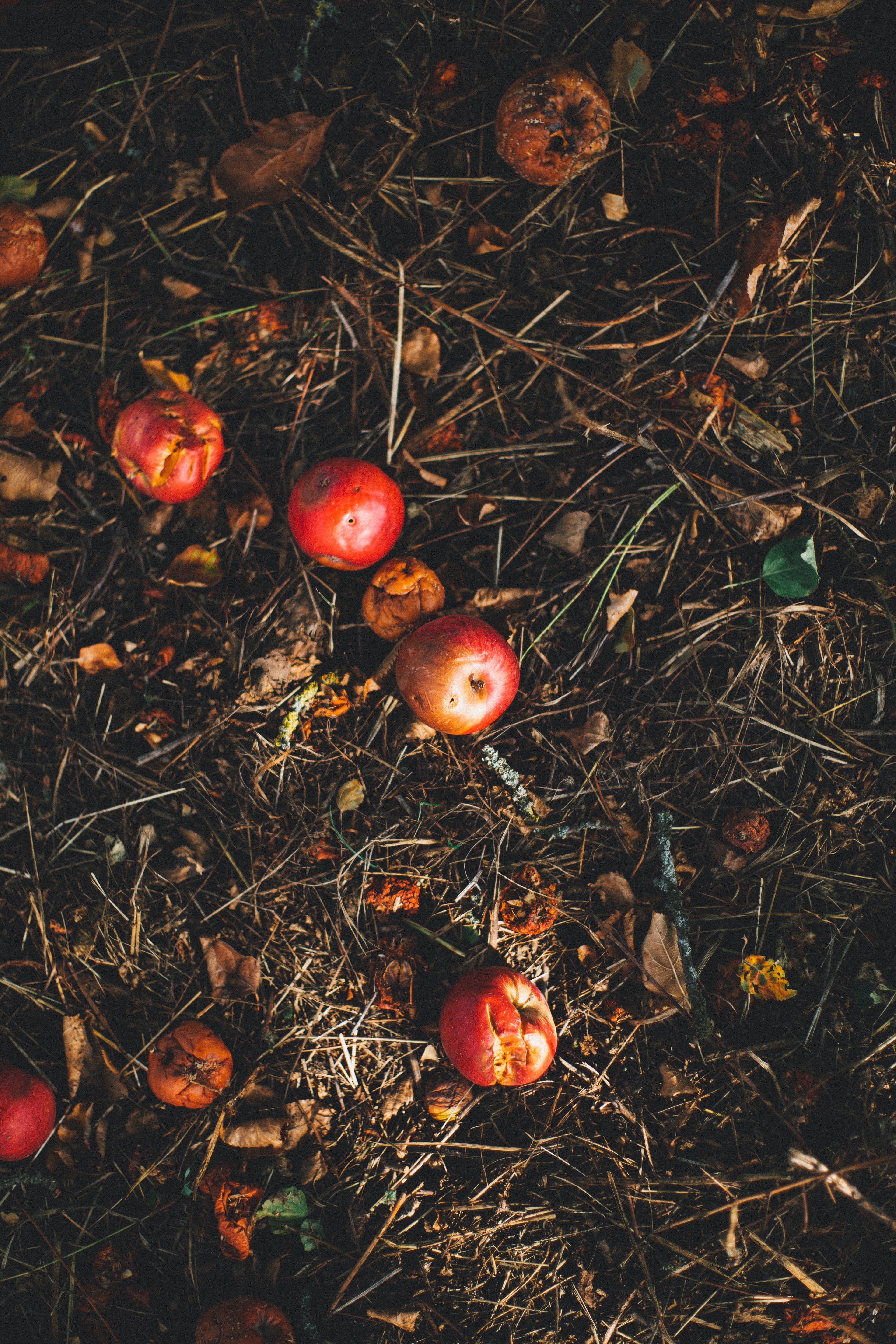 Markus Spiske Fdvoktkwez8 Unsplash