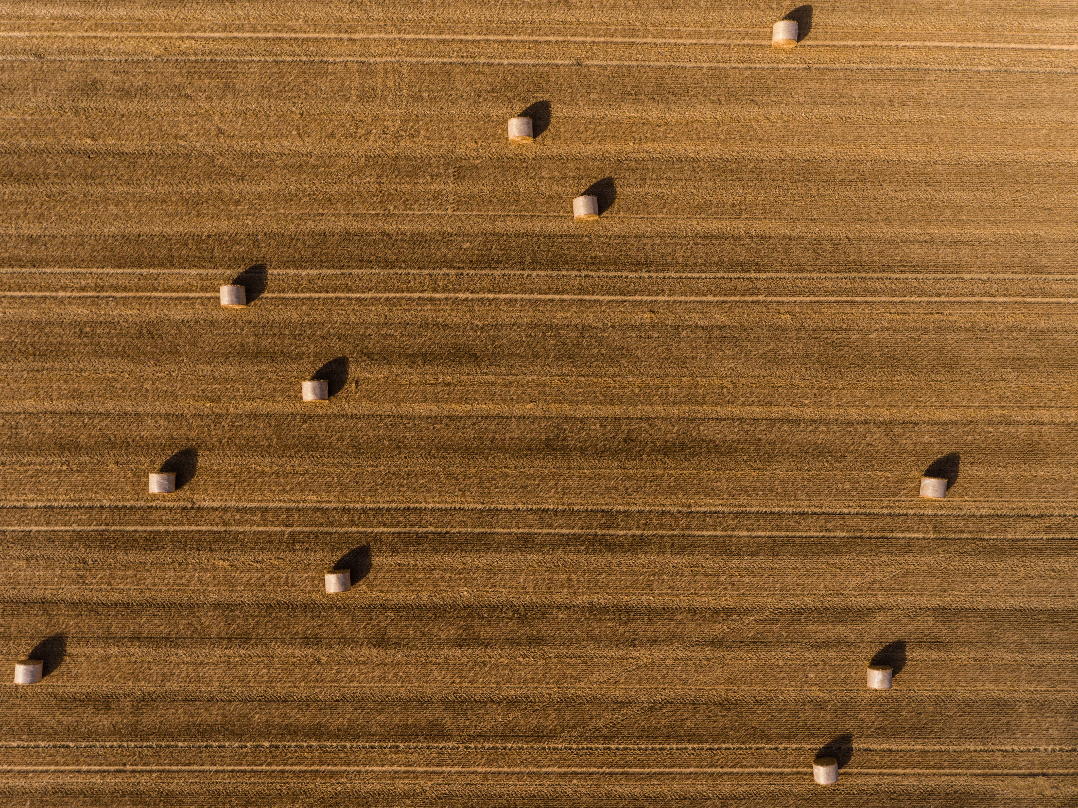 Jean Wimmerlin Dmjfea0vumy Unsplash